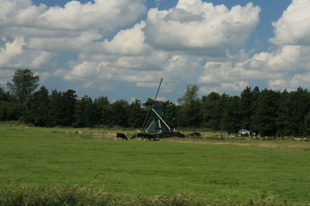 2009-08-Holandsko > obr (34)
